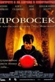 Постер Дровосек (2004)