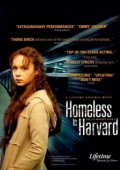 Постер Гарвардский бомж (2003)