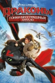 Постер Драконы: Гонки бесстрашных. Начало (2014)