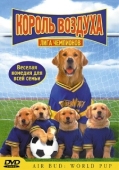 Постер Король воздуха: Лига чемпионов (2000)