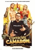 Постер Операция «Камарон» (2021)