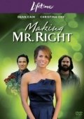 Постер Создать мистера Совершенство (2008)