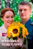 Постер И расцвел подсолнух (2021)
