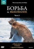 Постер BBC: Борьба за выживание (1990)