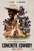 Постер Городской ковбой (2020)
