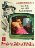 Постер Жаль, что ты каналья (1954)