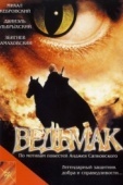 Постер Ведьмак (2001)