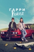 Постер Гарри Уайлд (2022)