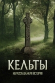 Постер Кельты: Нерассказанная история