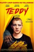Постер Тедди (2020)