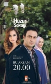 Постер Мирная улица (2012)