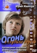 Постер Огонь в глубине дерева (1978)