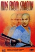 Постер Храм Шаолинь 2: Дети Шаолиня (1984)