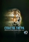 Постер Спасти тигра (2019)