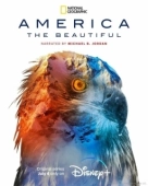 Постер Прекрасная Америка (2022)