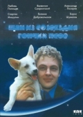 Постер Щен из созвездия «Гончих псов» (1991)