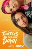 Постер Черепахи – и нет им конца (2024)