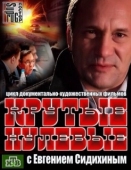 Постер Крутые нулевые (2012)