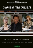 Постер Зачем ты ушел? (2008)