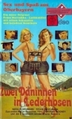 Постер Две датчанки в кожаных штанах (1979)