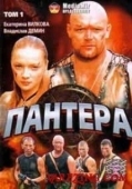Постер Пантера (2007)