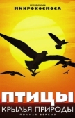 Постер Птицы: Крылья природы