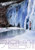 Постер Зимней ночью (2018)