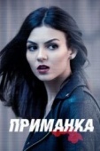Постер Приманка (2015)
