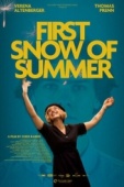 Постер Первый снег лета (2023)