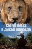 Постер Симбиоз в дикой природе (2023)