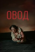 Постер Овод (1955)