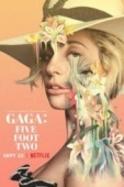 Постер Гага: 155 см (2017)