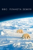 Постер BBC: Планета Земля (2006)
