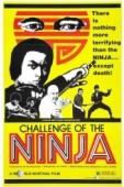 Постер Шаолинь вызывает ниндзя (1978)