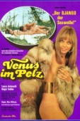 Постер Венера в мехах (1969)