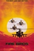 Постер Огненные птицы (1990)