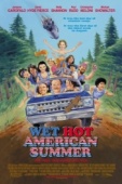Постер Жаркое американское лето (2001)
