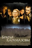 Постер Братья Карамазовы (2008)