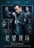 Постер Неожиданный свидетель (2019)