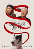 Постер Верный друг (2024)