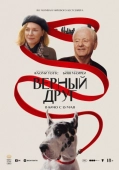 Постер Верный друг (2024)