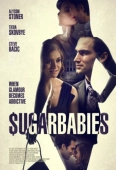 Постер Содержанки (2015)