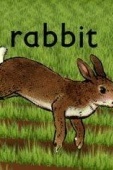Постер Кролик (2005)