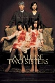 Постер История двух сестёр (2003)