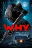 Постер За что? (2019)