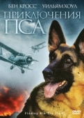 Постер Приключения пса (2007)