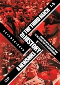Постер История Третьего Рейха в кинохронике (1993)