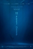 Постер 12 футов глубины (2017)
