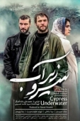 Постер Кипарис под водой (2018)