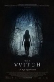 Постер Ведьма (2015)